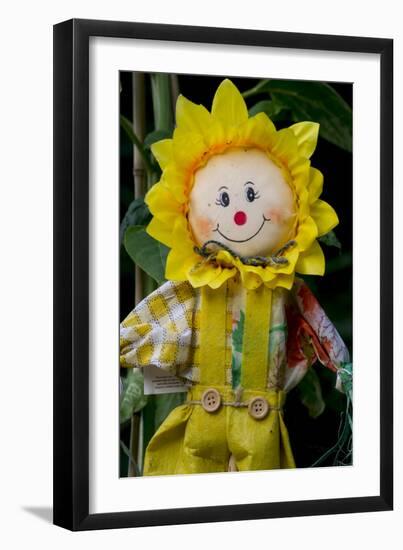 Sunflower Puppet-Charles Bowman-Framed Photographic Print