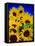 Sunflower Relief, 1999-Norman Hollands-Framed Stretched Canvas