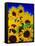 Sunflower Relief, 1999-Norman Hollands-Framed Stretched Canvas