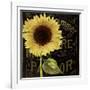 Sunflower Salon I-Color Bakery-Framed Giclee Print