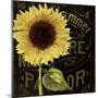 Sunflower Salon I-Color Bakery-Mounted Giclee Print