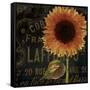 Sunflower Salon II-Color Bakery-Framed Stretched Canvas