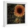 Sunflower Salon II-Color Bakery-Framed Giclee Print