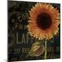 Sunflower Salon II-Color Bakery-Mounted Giclee Print