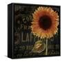 Sunflower Salon II-Color Bakery-Framed Stretched Canvas