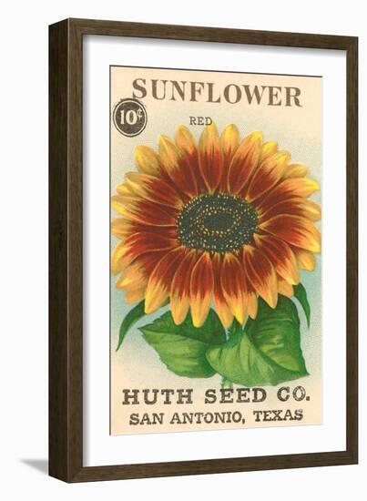 Sunflower Seed Packet-null-Framed Art Print