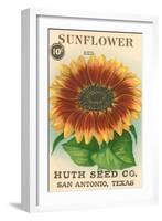 Sunflower Seed Packet-null-Framed Art Print