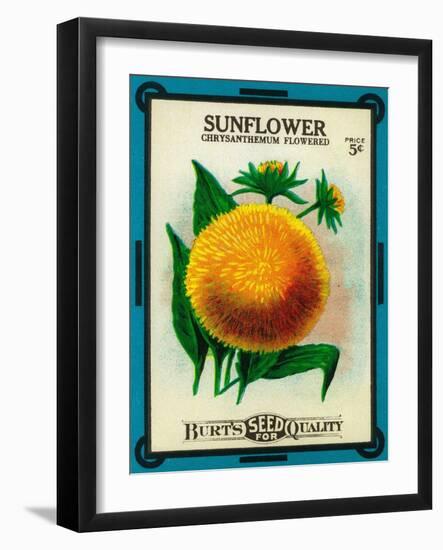 Sunflower Seed Packet-Lantern Press-Framed Art Print