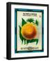 Sunflower Seed Packet-Lantern Press-Framed Art Print