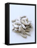 Sunflower Seeds-Alena Hrbkova-Framed Stretched Canvas