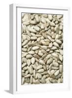 Sunflower Seeds-Jon Stokes-Framed Photographic Print