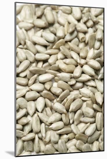 Sunflower Seeds-Jon Stokes-Mounted Photographic Print