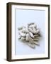 Sunflower Seeds-Alena Hrbkova-Framed Photographic Print