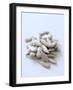 Sunflower Seeds-Alena Hrbkova-Framed Photographic Print