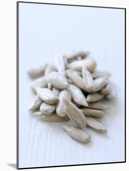 Sunflower Seeds-Alena Hrbkova-Mounted Photographic Print