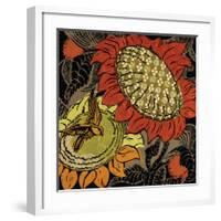 Sunflower Series #37-Ouida Touchon-Framed Art Print