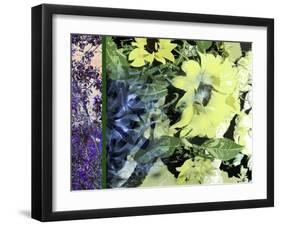 Sunflower Series Pale Yellow-Ruth Palmer-Framed Art Print