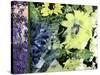 Sunflower Series Pale Yellow-Ruth Palmer-Stretched Canvas