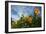 Sunflower Sky-Robert Goldwitz-Framed Photographic Print