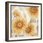 Sunflower Soft I-Sasha-Framed Giclee Print