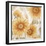 Sunflower Soft I-Sasha-Framed Giclee Print