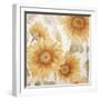 Sunflower Soft I-Sasha-Framed Giclee Print