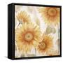 Sunflower Soft I-Sasha-Framed Stretched Canvas