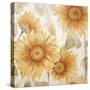 Sunflower Soft I-Sasha-Stretched Canvas