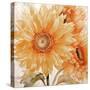 Sunflower Soft Ii-Sasha-Stretched Canvas