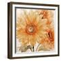 Sunflower Soft Ii-Sasha-Framed Giclee Print