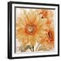 Sunflower Soft Ii-Sasha-Framed Giclee Print