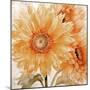 Sunflower Soft Ii-Sasha-Mounted Giclee Print