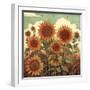 Sunflower Splash Ii-Sasha-Framed Giclee Print