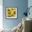 Sunflower Square-Stacy Bass-Framed Giclee Print displayed on a wall