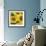 Sunflower Square-Stacy Bass-Framed Giclee Print displayed on a wall