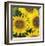 Sunflower Square-Stacy Bass-Framed Giclee Print