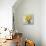 Sunflower Still Life I on Gray-Danhui Nai-Art Print displayed on a wall