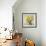 Sunflower Still Life I on Gray-Danhui Nai-Framed Art Print displayed on a wall