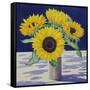 Sunflower Still Life-Christopher Ryland-Framed Stretched Canvas