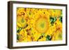 Sunflower Summer-Donnie Quillen-Framed Art Print