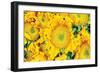 Sunflower Summer-Donnie Quillen-Framed Art Print