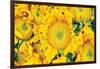 Sunflower Summer-Donnie Quillen-Framed Art Print