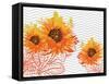 Sunflower Sunday-Bee Sturgis-Framed Stretched Canvas