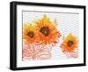 Sunflower Sunday-Bee Sturgis-Framed Art Print