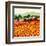 Sunflower Sunset, Tuscany-Hazel Barker-Framed Art Print