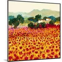 Sunflower Sunset, Tuscany-Hazel Barker-Mounted Art Print
