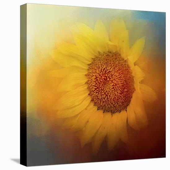 Sunflower Surprise-Jai Johnson-Stretched Canvas