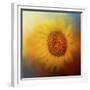 Sunflower Surprise-Jai Johnson-Framed Giclee Print