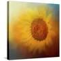 Sunflower Surprise-Jai Johnson-Stretched Canvas