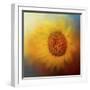 Sunflower Surprise-Jai Johnson-Framed Giclee Print